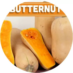 Butternut squash photograph