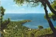 Buyukada Nature Park - 