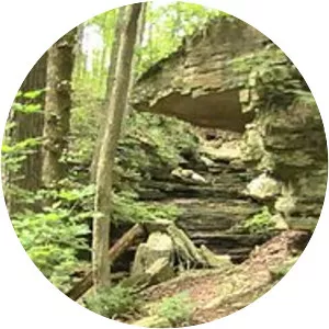 Buzzard Roost Trail - 