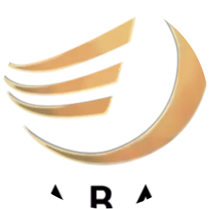 BVS Entertainment Inc