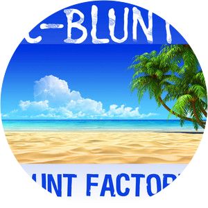 C-Blunt - Musical artist