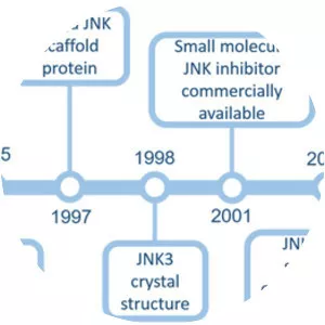 c-Jun N-terminal kinases