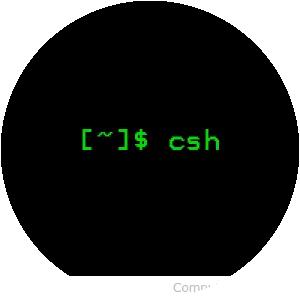 C shell - Software