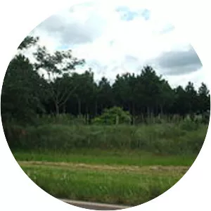 Caaguazú Department