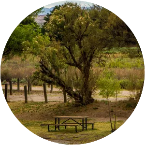 Caballo Lake State Park - Lake in New Mexico