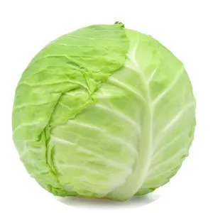 Cabbage - Vegetable