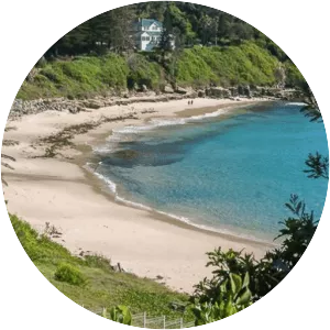 Cabbage Tree Harbour - 