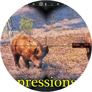 Cabela's Big Game Hunter: Pro Hunts