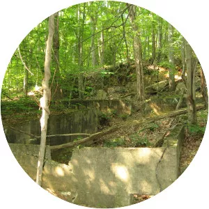 Cabin Branch Pyrite Mine Historic District - 