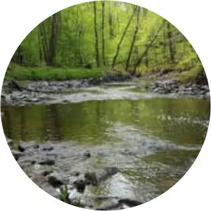 Cabin John Creek - Tributary in Maryland