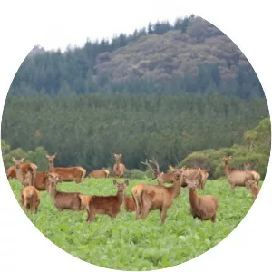 Cabonne Shire Council