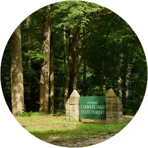 Cabwaylingo State Forest