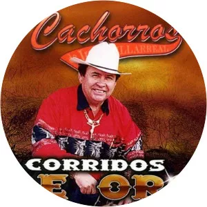 Cachorros De Juan Villarreal - Musical band