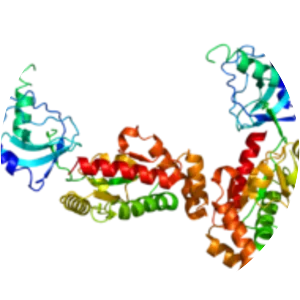 CACNB4 - Protein