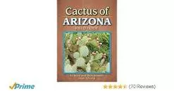 Cactus of Arizona Field Guide