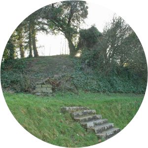 Cadwgan ap Bleddyn photograph