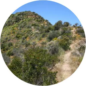 Cahuenga Peak