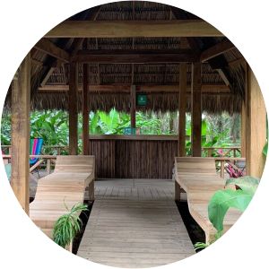 cala spa nacarcosta wildlife adventure