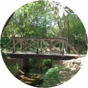 Calabasas Creek Park