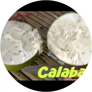 Calabash