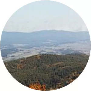 Calabrian Apennines - 