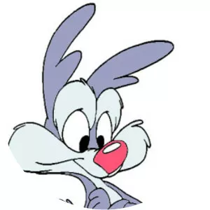 Calamity Coyote - Cartoon character