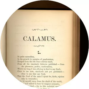 Calamus - Poem by Walt Whitman