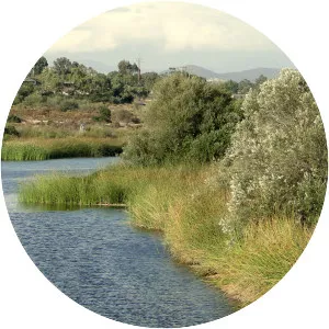 Calavera Lake