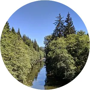 Calawah River - Tributary in Washington