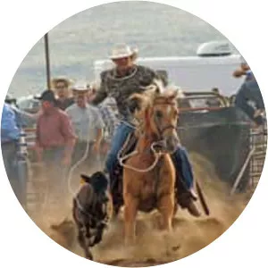 Calf roping photograph