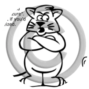 California v. Hodari D.