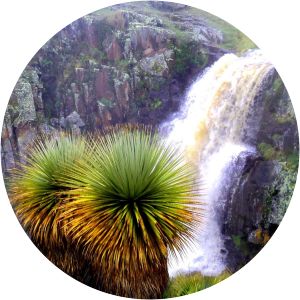 Calipuy National Reserve