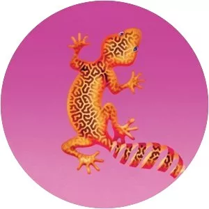 Call For Location - Album by Jubilee