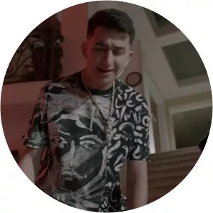 Calle 24 - Musical artist