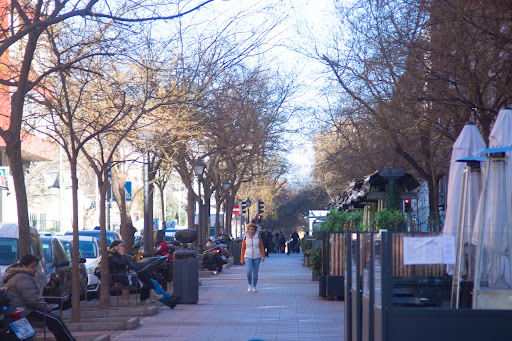 Calle Ibiza, 4 - Fruit and vegetable processing in Madrid, Spain