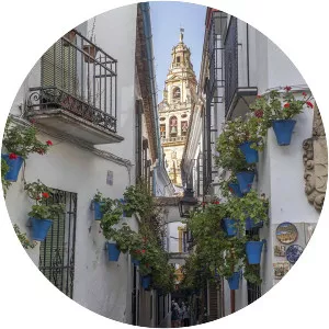 Calleja de las Flores