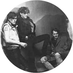 Calling Dead Red Roses - Musical group