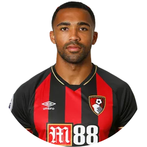 Callum Wilson