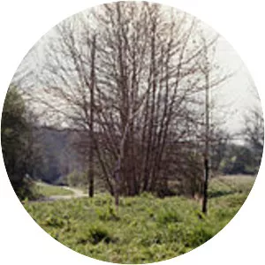 Calne railway station