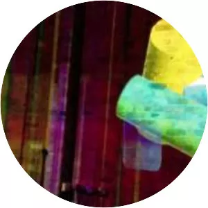 Calum Gunn - Musical artist