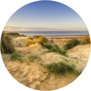 Camber Sands photograph