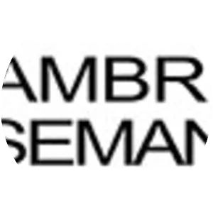 Cambridge Semantics - Software company