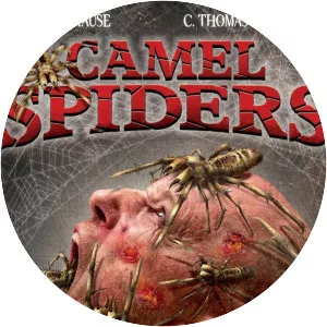 Camel Spiders