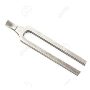 Camerton - Vocal group