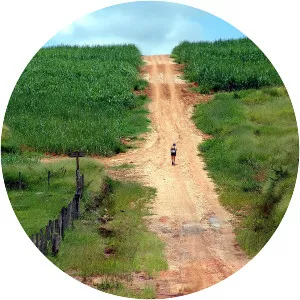 Caminho da Fé photograph