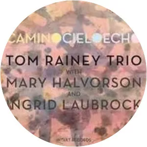 Camino Cielo Echo - Album by Tom Rainey