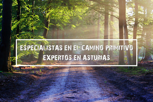 Camino de Asturias - Travel agency in Gijon, Spain