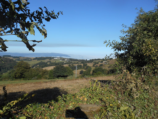 Camino de Santiago a Furela - Hiking area in Spain