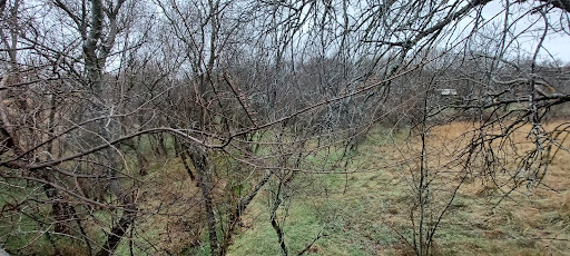 Camino Navalafuente - Hiking area in Spain