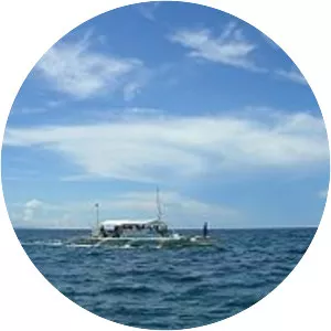 Camotes Sea